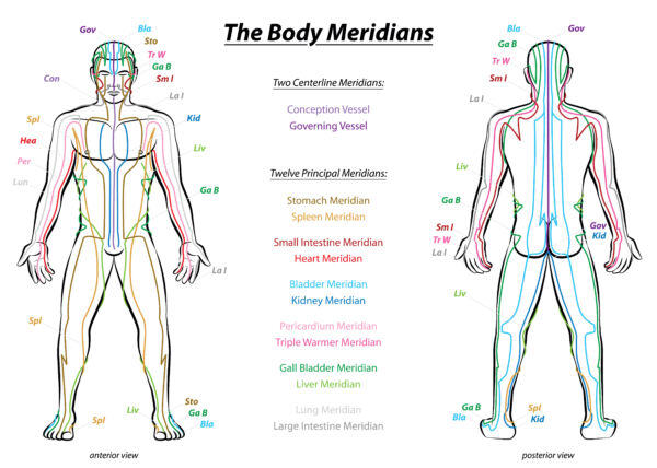 body meridians